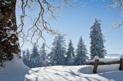 麻将胡了2-电竞比賽(sài)吸引全(quán)球年(nián)輕(qīng)觀(guān)众