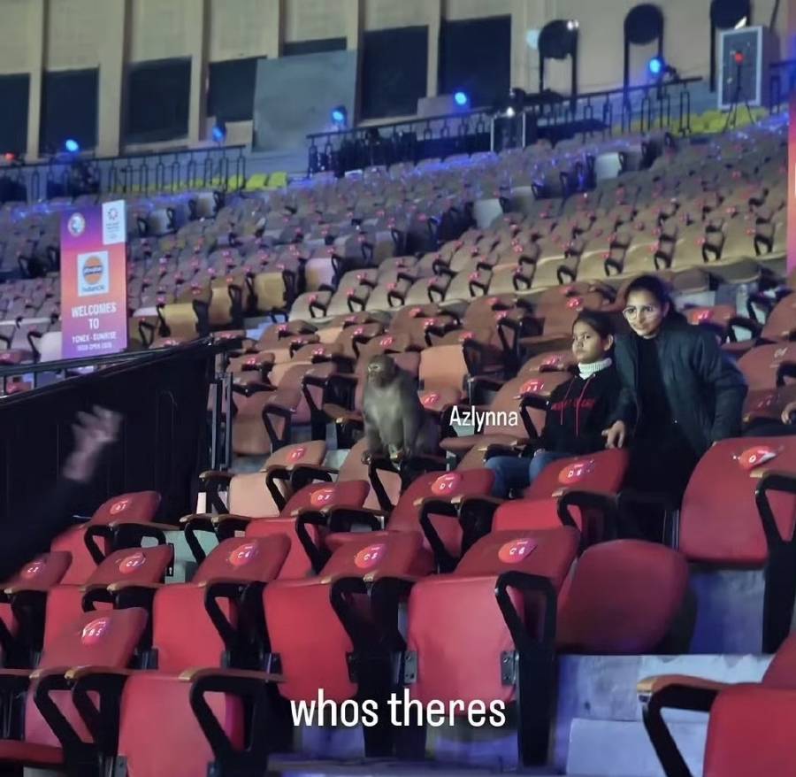 印度公开赛成闹剧：猴子坐上看台，鸟粪洒落赛场……印度真能办羽毛球世锦赛？