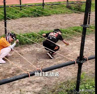 马龙一家在环球影城!俩儿子参加斯巴达比赛,夏露有马甲线妊娠纹